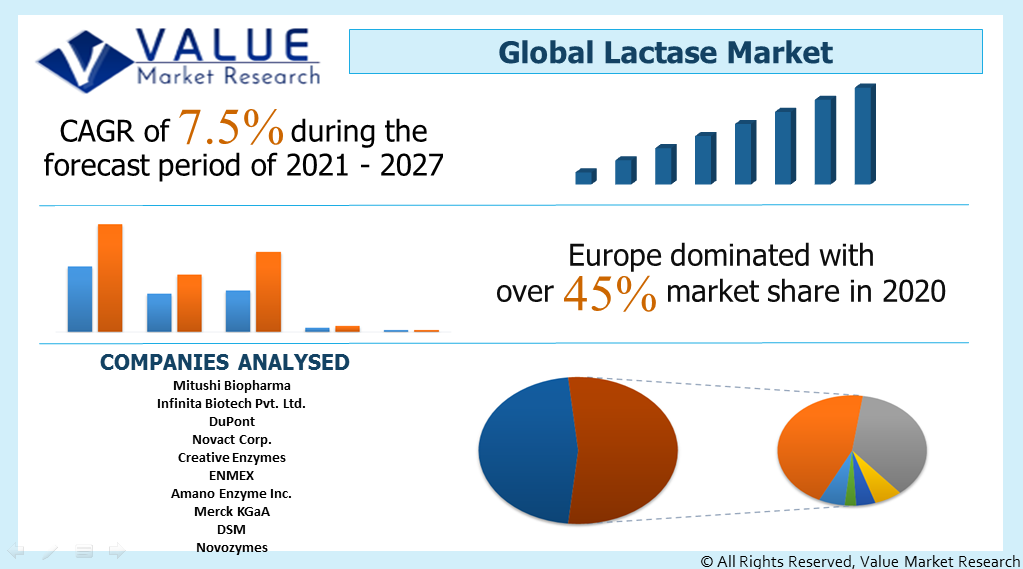 Global Lactase Market Share